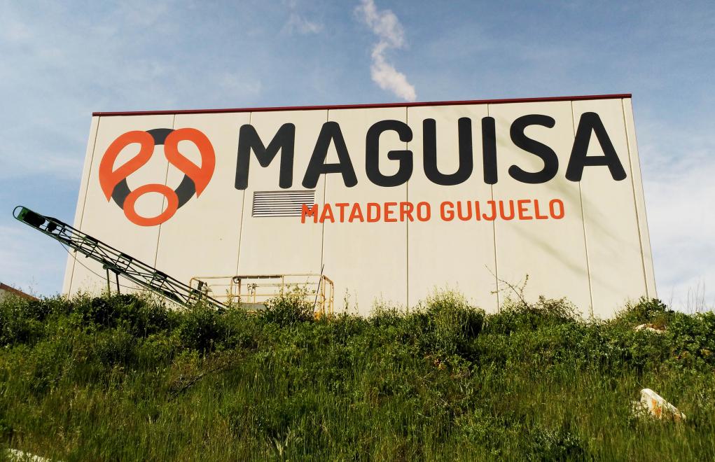 MAGUISA