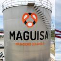 MAGUISA