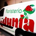 FLORISTER�A BEDUNIA, BLANCA