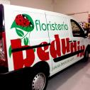 FLORISTER�A BEDUNIA, BLANCA