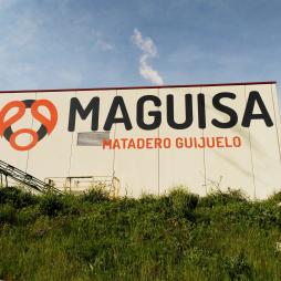 MAGUISA MATADERO GUIJUELO