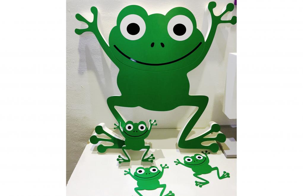 AUTOESCUELA SALAMANCA, RANA